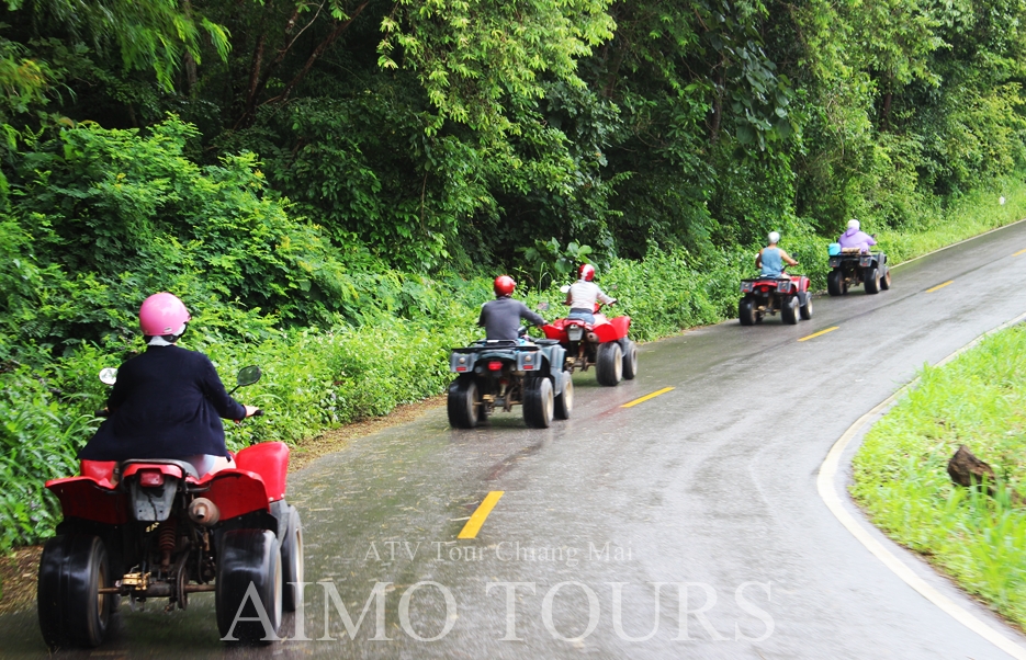 Private Tour In Thailand Private Tour In Chiang Mai Private Tour In Private Tour In Thailand Private Tour In Chiang Mai Private Tour In